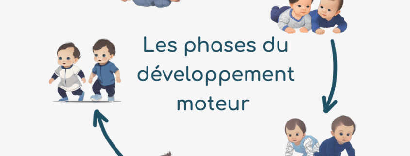 Les phases du développement moteur