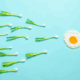 Fertilité ostéopathie
